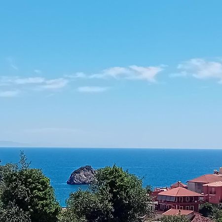 Studios Spiros 帕尔加 外观 照片